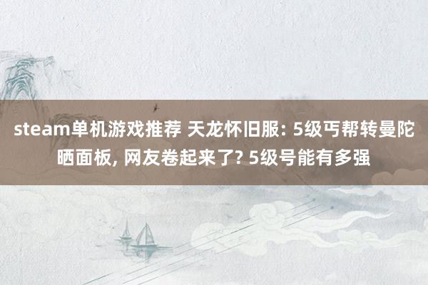 steam单机游戏推荐 天龙怀旧服: 5级丐帮转曼陀晒面板, 网友卷起来了? 5级号能有多强