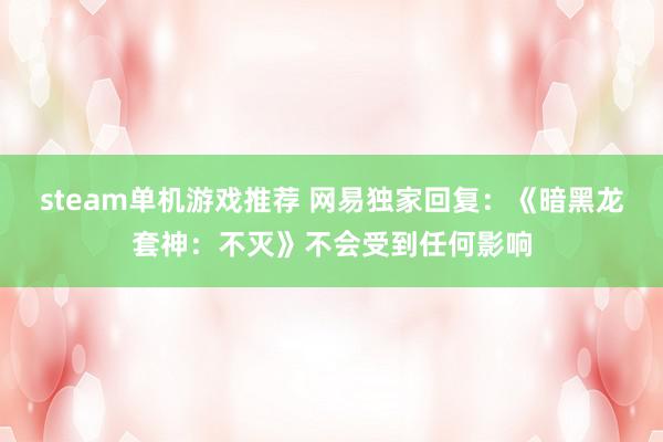 steam单机游戏推荐 网易独家回复：《暗黑龙套神：不灭》不会受到任何影响