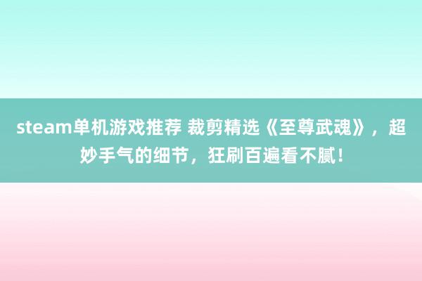 steam单机游戏推荐 裁剪精选《至尊武魂》，超妙手气的细节，狂刷百遍看不腻！