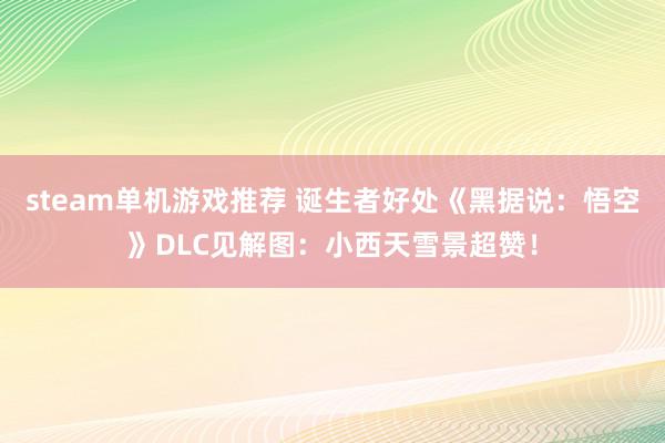 steam单机游戏推荐 诞生者好处《黑据说：悟空》DLC见解图：小西天雪景超赞！